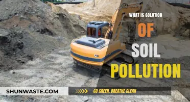 Strategies to Combat Soil Pollution