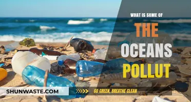 The Ocean's Plight: Understanding Marine Pollution