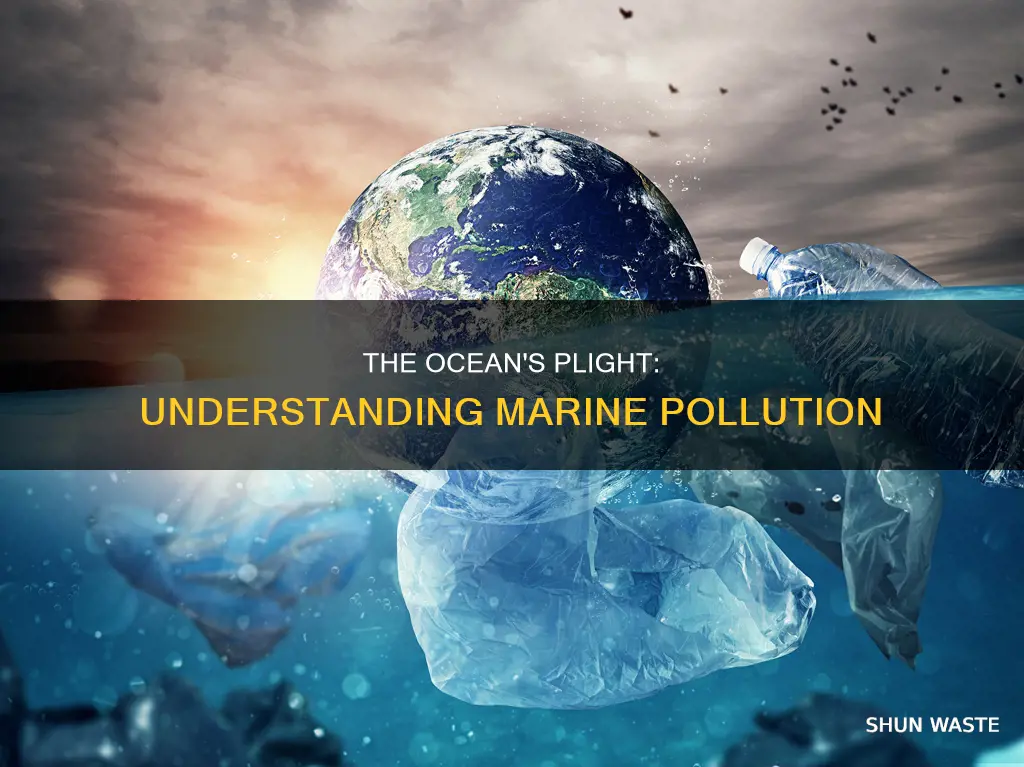 what is some of the oceans pollut
