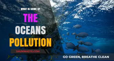 The Ocean's Pollution: A Global Crisis