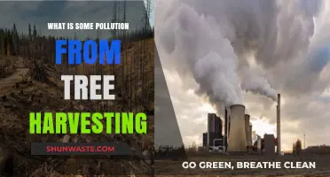 Tree Harvesting: The Overlooked Pollution Crisis