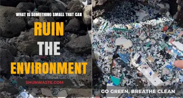 Tiny Threats: Small Actions with Devastating Environmental Consequences