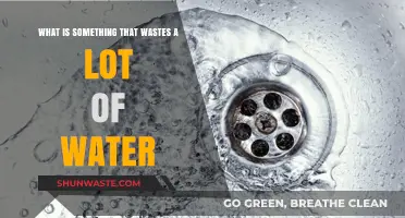 Everyday Water Wasters: Surprising Habits Draining Our Precious Resource