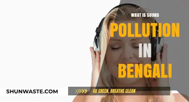 Sound Pollution: A Threat to Our Ears