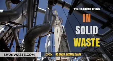 Unveiling the Origins of H2S Emissions in Solid Waste Management
