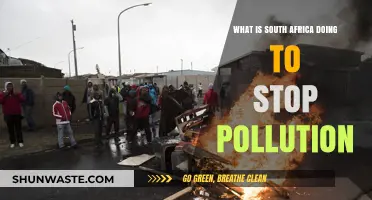 South Africa's Anti-Pollution Efforts: Strategies and Impact