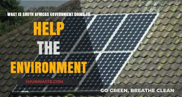 South Africa's Green Initiatives: Government Actions for Environmental Sustainability
