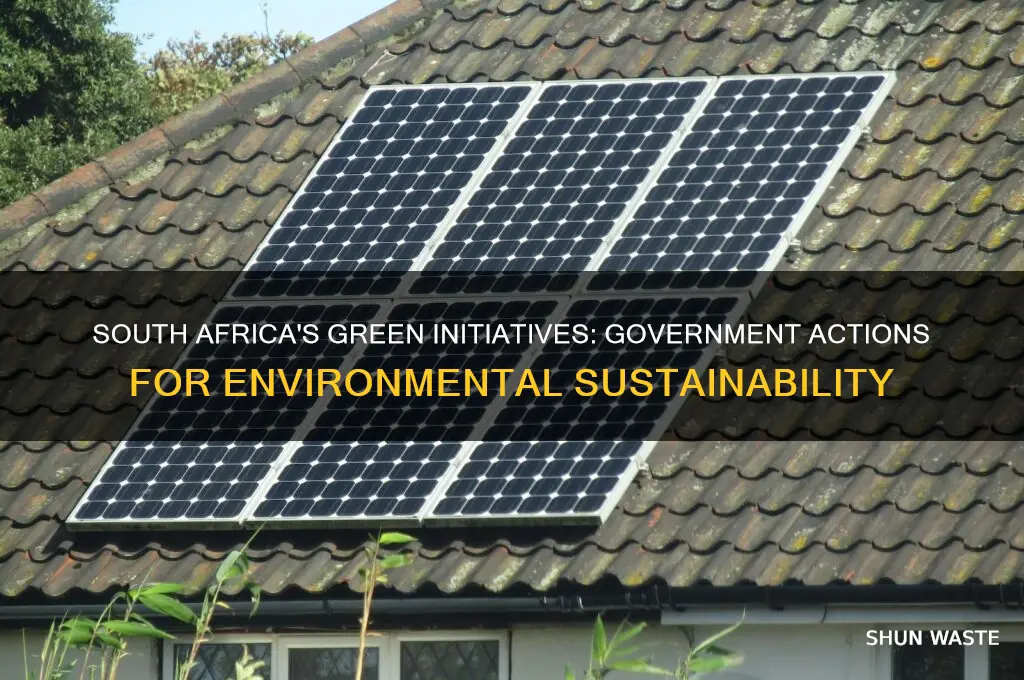 what is south africas government doing to help the environment