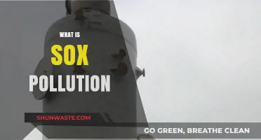 SOx Pollution: Understanding the Toxic Air We Breathe