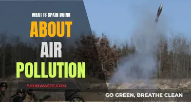 Spain's Air Pollution: Strategies and Solutions