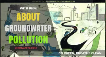 Groundwater Pollution: A Unique Environmental Threat