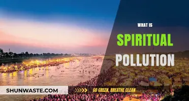 Understanding Spiritual Pollution: Its Impact and Influence
