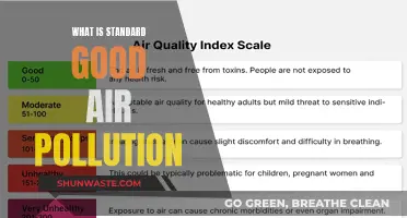 Air Pollution: Understanding the Standard for "Good" Air