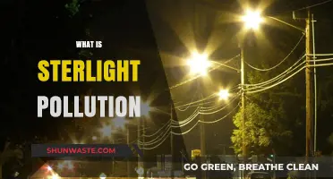 Understanding the Impact of Starlight Pollution