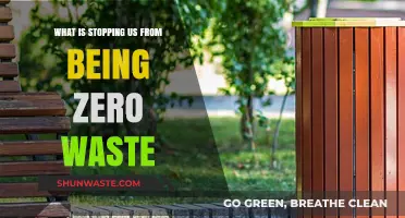Overcoming Barriers to Zero Waste: Challenges and Solutions for a Sustainable Future