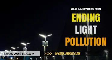 Light Pollution: Overcoming Obstacles for a Brighter Future