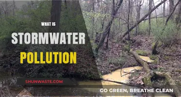Stormwater Pollution: A Growing Environmental Concern