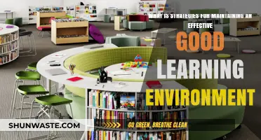 Creating Optimal Learning Spaces: Strategies for Sustaining a Productive Environment