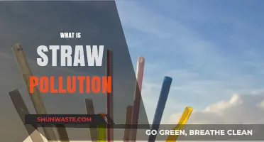 Straw Pollution: A Growing Environmental Menace