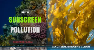 Sunscreen Pollution: Harming Marine Life and Coral Reefs