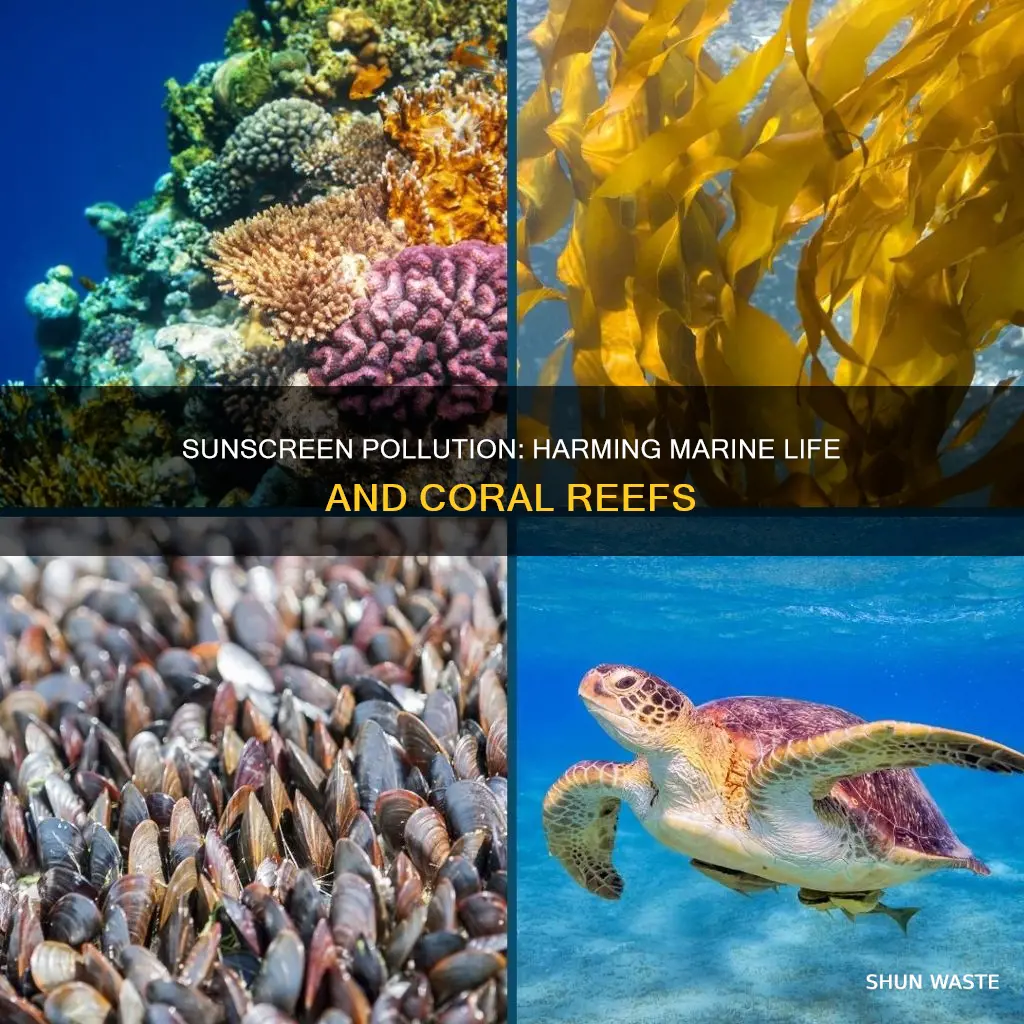 what is sunscreen pollution