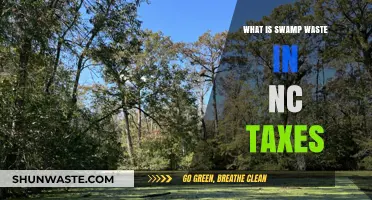 Understanding Swamp Waste: NC Taxes Explained for Landowners