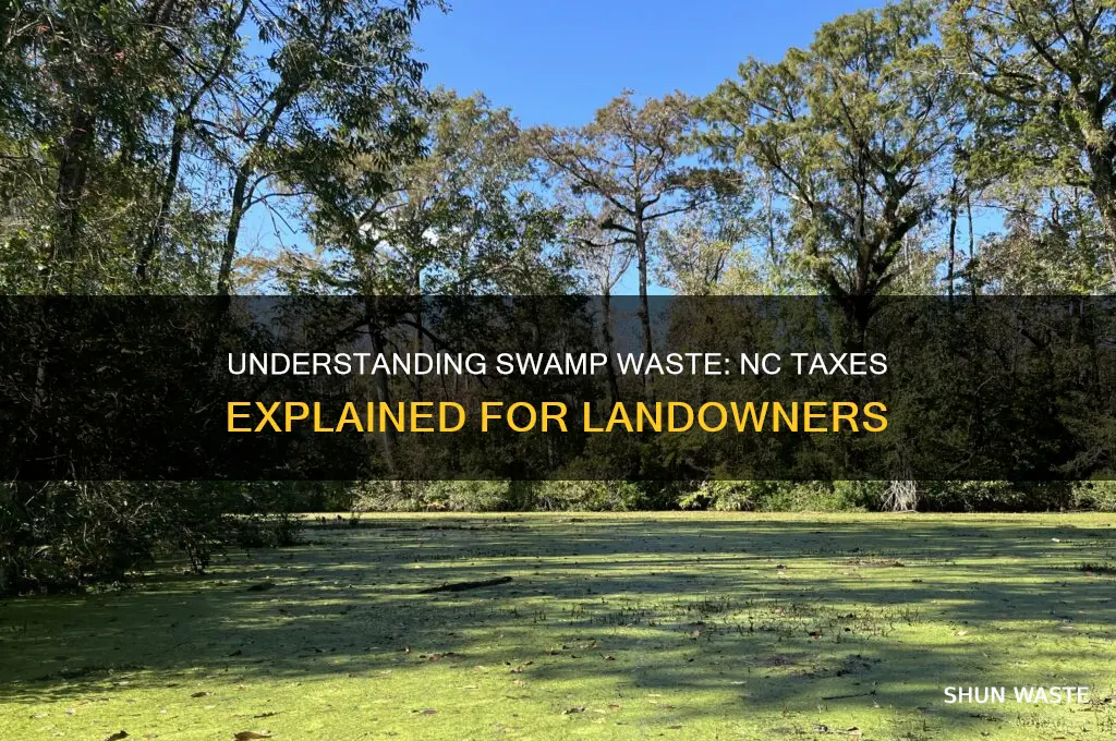 what is swamp waste in nc taxes