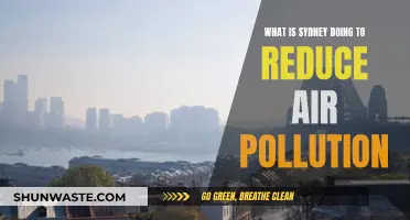 Sydney's Efforts to Reduce Air Pollution