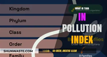 Taxa Pollution Index: Understanding Ecological Impact