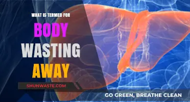 Understanding Cachexia: The Devastating Condition of Body Wasting Away