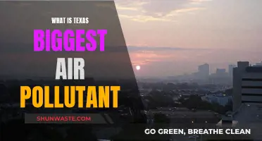 Texas's Air: What's the Main Pollutant?