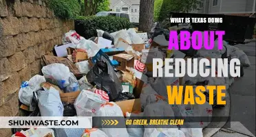 Texas Tackles Trash: Innovative Waste Reduction Strategies in Action