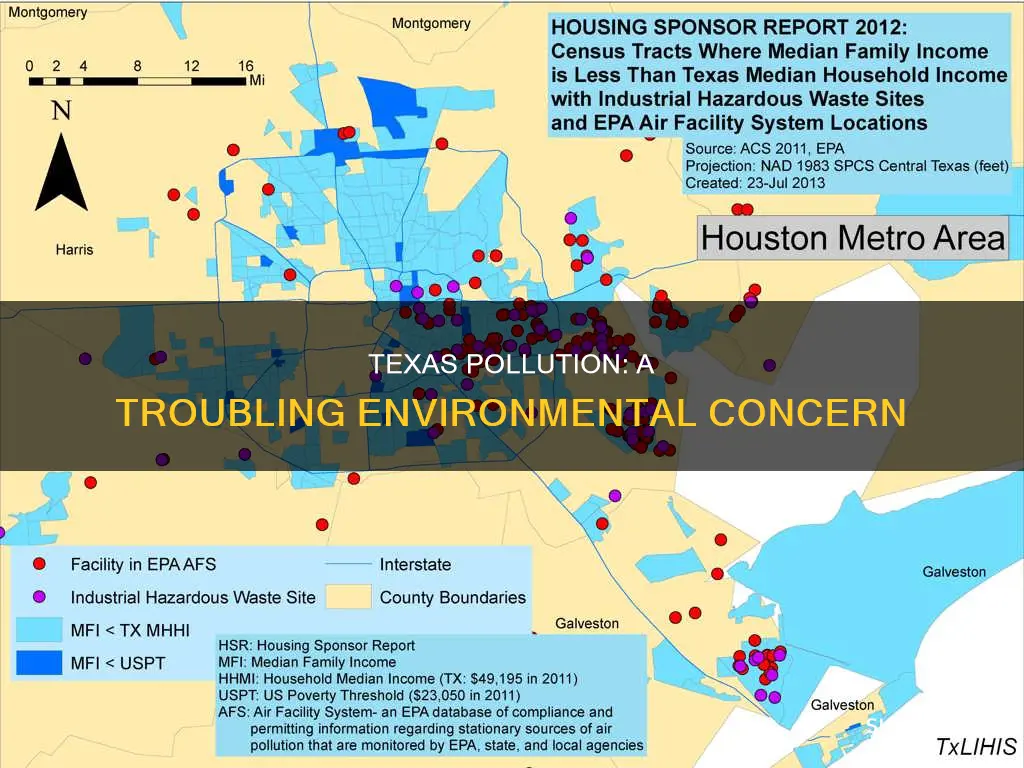 what is texas pollution