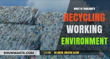 Thailand's Recycling Working Environment: Challenges, Innovations, and Sustainability Efforts
