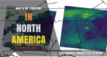 Air Pollution: North America's Biggest Pollutant Revealed