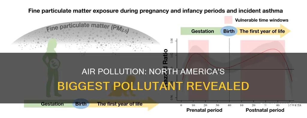 what is the 1 pollutent in north america
