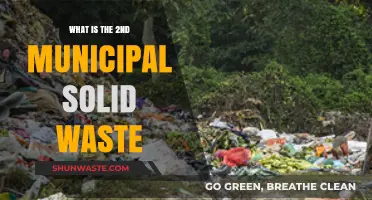 Understanding Municipal Solid Waste: Exploring the Second Category and Its Impact
