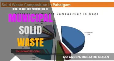 Understanding the Composition: The Second Largest Component of Municipal Solid Waste