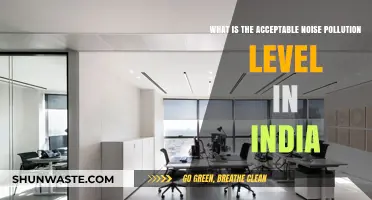 India's Noise Pollution: Acceptable Decibel Levels?