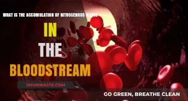 Understanding Nitrogenous Waste Buildup in Blood: Causes and Effects