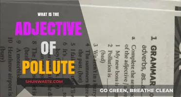 The Adjective Form of Pollute: Exploring "Polluted