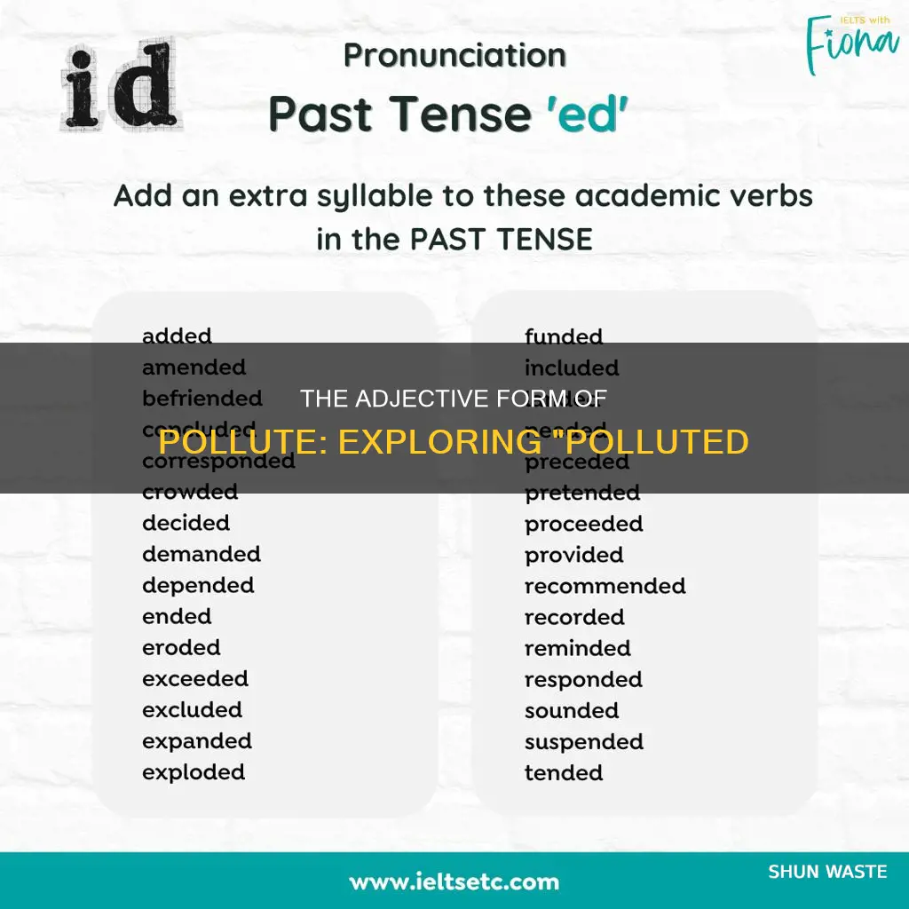 what is the adjective of pollute