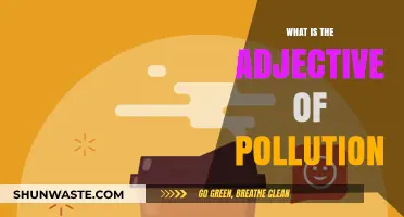 The Polluting Impact: Adjectives of Environmental Degradation