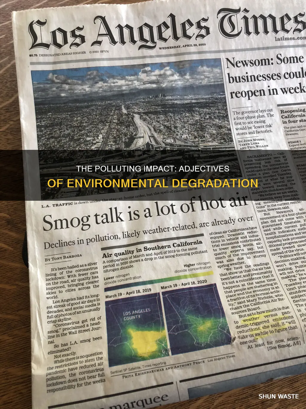 what is the adjective of pollution