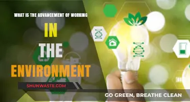 Sustainable Workplaces: Innovations Shaping Eco-Friendly Professional Environments