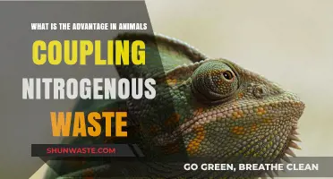 Coupling Nitrogenous Waste: Unlocking Survival Advantages in Animals