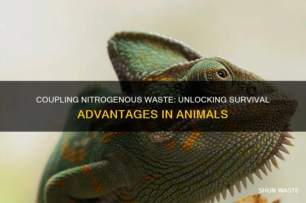 what is the advantage in animals coupling nitrogenous waste