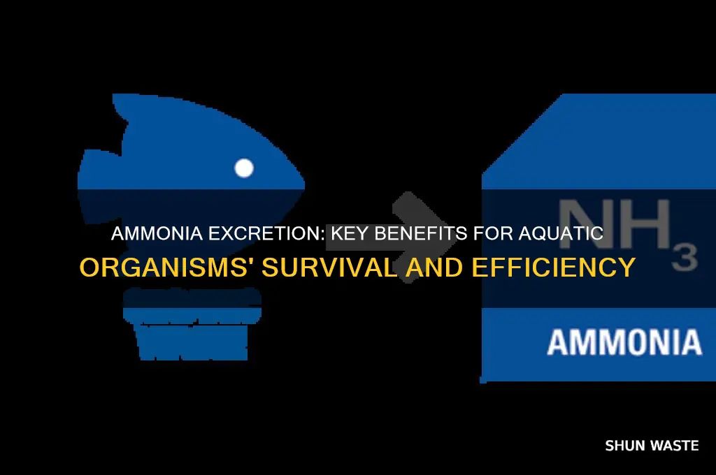 what is the advantage of excreting nitrogenous waste as ammonia