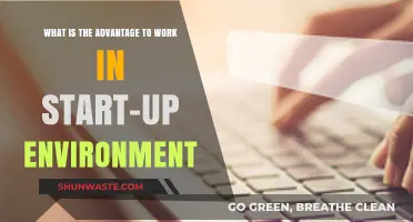 Why Start-Up Environments Foster Innovation, Growth, and Personal Development