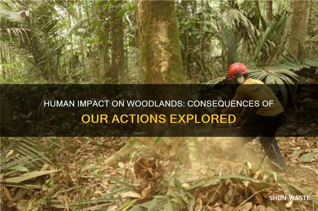 what is the affect of human activity on woodland environments